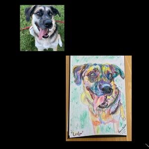 4x6 custom pet portrait